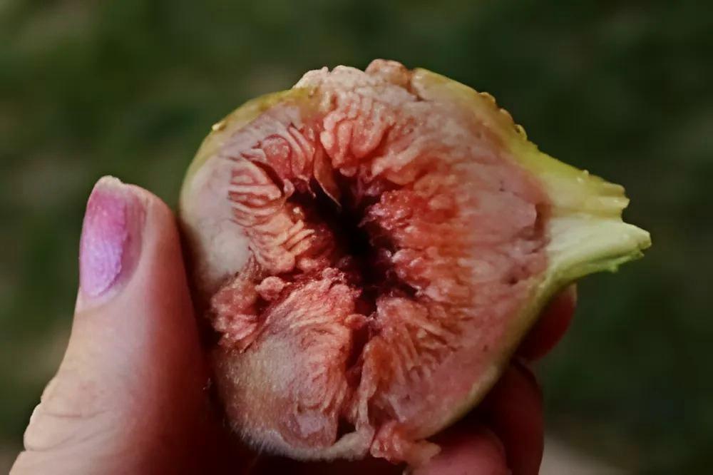 Érzékenység vizuálisan