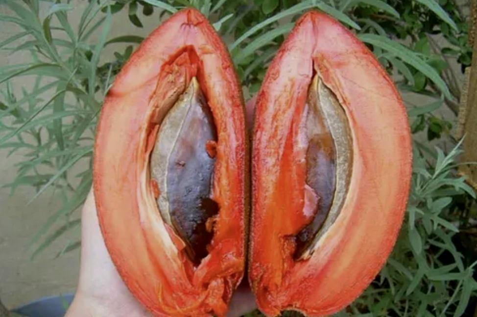 Napi rutin és természetes komfort